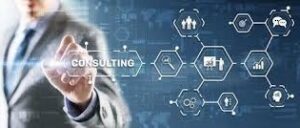IT Consultancy